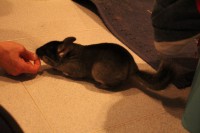 /album/tambor/img-4149-jpg/