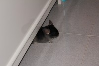 /album/tambor/img-4268-jpg/