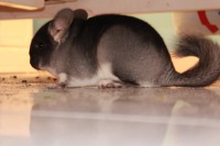 /album/tambor/img-4345-jpg/